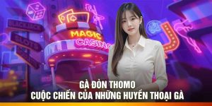 Gà Đòn Thomo – Cuộc Chiến Của Những Huyền Thoại Gà
